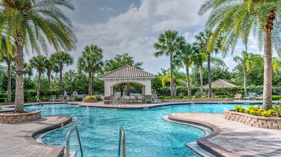 A pool kept perfect by Pure Paradise